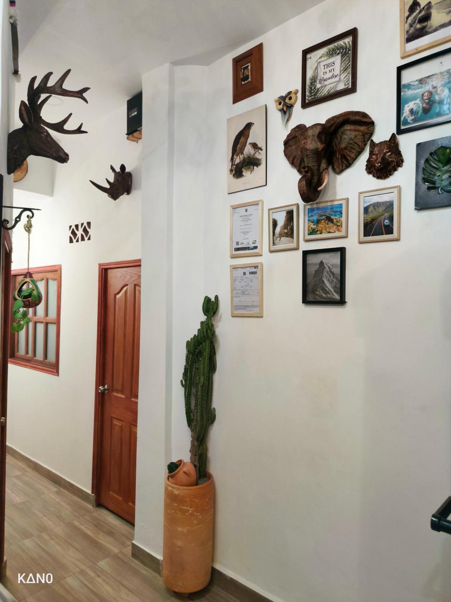 Inn Oasis Blue Laureles Medellin
