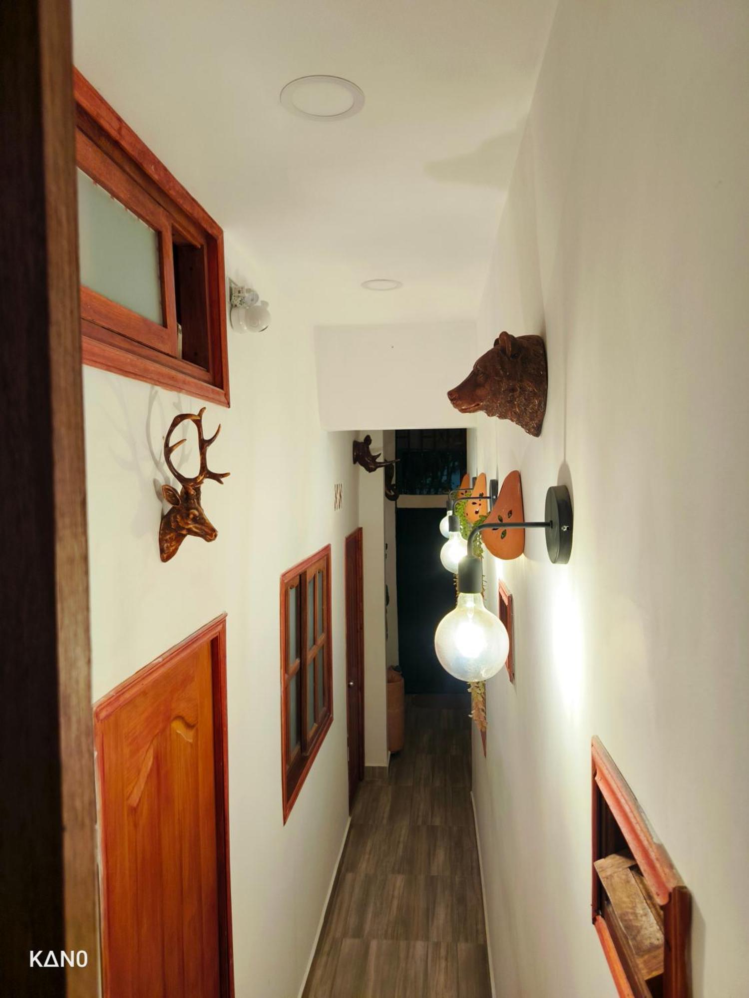 Oasis Blue Laureles Medellin
