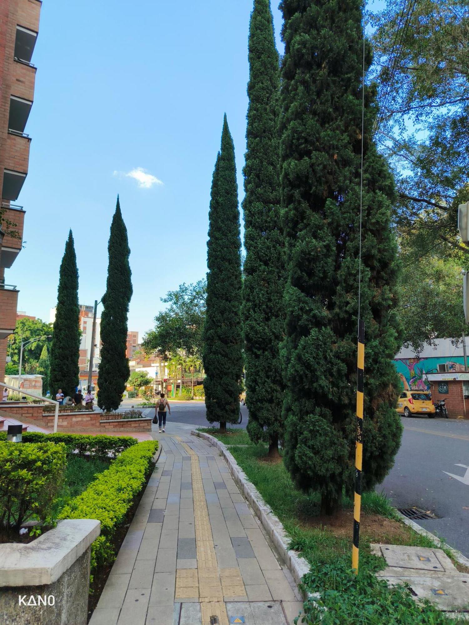Oasis Blue Laureles Inn Medellin